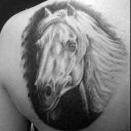 Татуировка лошади